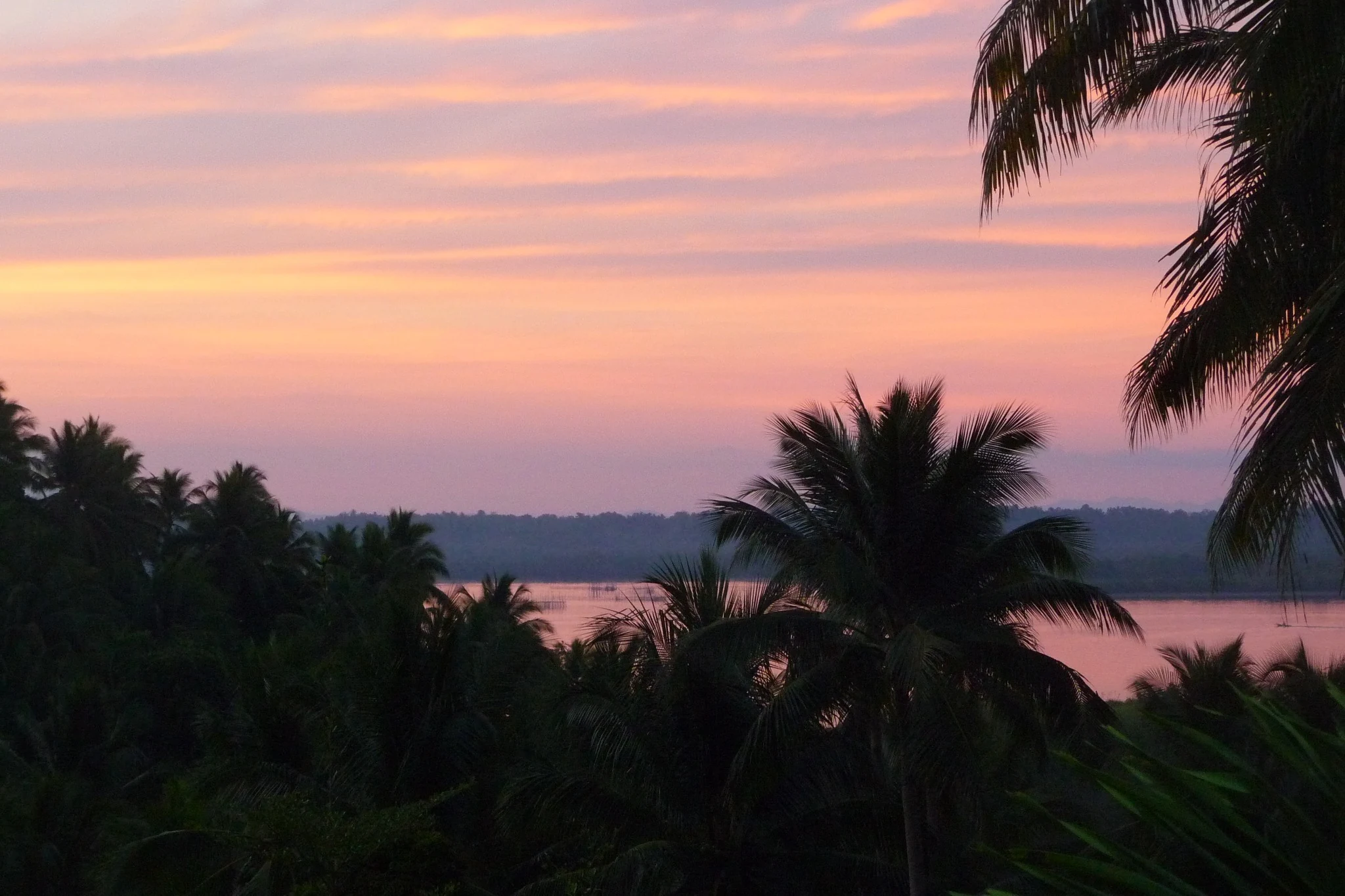 Sunset over palm trees and Pilar Bay near Villa Kulintang